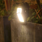📢📢Buy 3 Get 1 Free⏰Home Outdoor Garden Solar Charging Induction Light