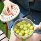 💥Hot Sale 50% Off💥 New Draining Basket With Lid