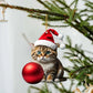 🎄😻Cat Christmas tree ornament✨Hanging cat ornaments