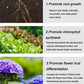 ✨Slow-Release Tablet Organic Fertilizer