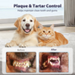 🧴 50% OFF NOW! Dental spray for pets – no brush required – natural peppermint – eliminates bad breath & plaque 🐾✨