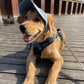 🔥50% OFF🔥🐕Outdoor Sun Protection Hood For Dogs