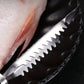 🔥HOT SALE🔥Sharp Stainless Steel Fish Scaler - Buy 1 Get 1 Free