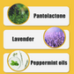 ⏳⏳BUY 2 GET 1 FREE💥50%OFF🔥Peppermint Oil Rodent Repellent Spray