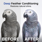 🔥HOT SALE 50%OFF🔥Waterless Foam Bird Cleaner