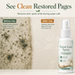 📚✨ Paper Mold & Mildew Stain Remover Spray – For Books, Pages & Documents